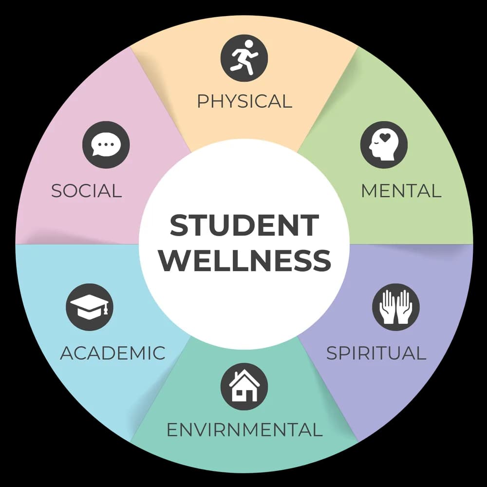 Student wellness wheel: physical, mental, spiritual, environmental, academic and social